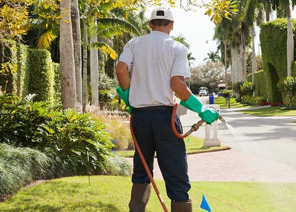 About Bedford Hills NY Pest Control